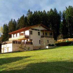 Transylvania Villa & Spa Gosau